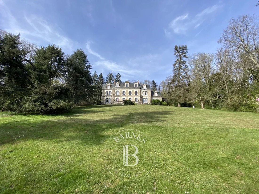 Castle in Veuves, Veuzain-sur-Loire, France 2 - 14531861
