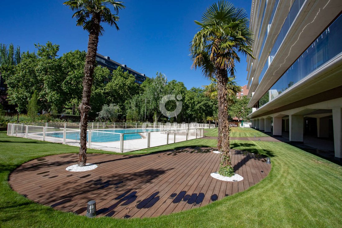 Apartment in Fuencarral-El Pardo, Madrid, Spain 4 - 18054730