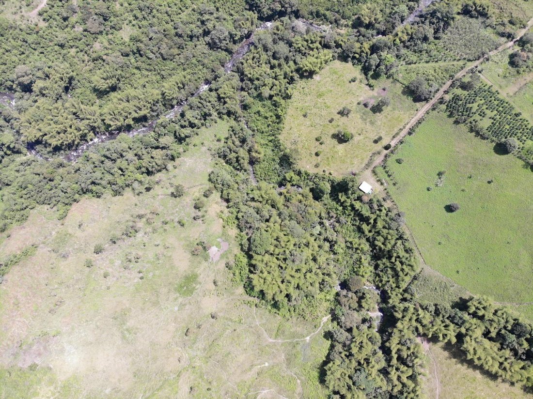Estate in Quito, Pichincha, Ecuador 3 - 18056342