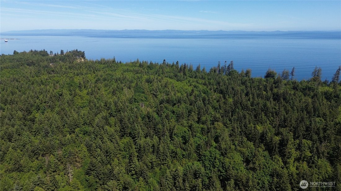 Land in Port Angeles, Washington, United States 5 - 18059338
