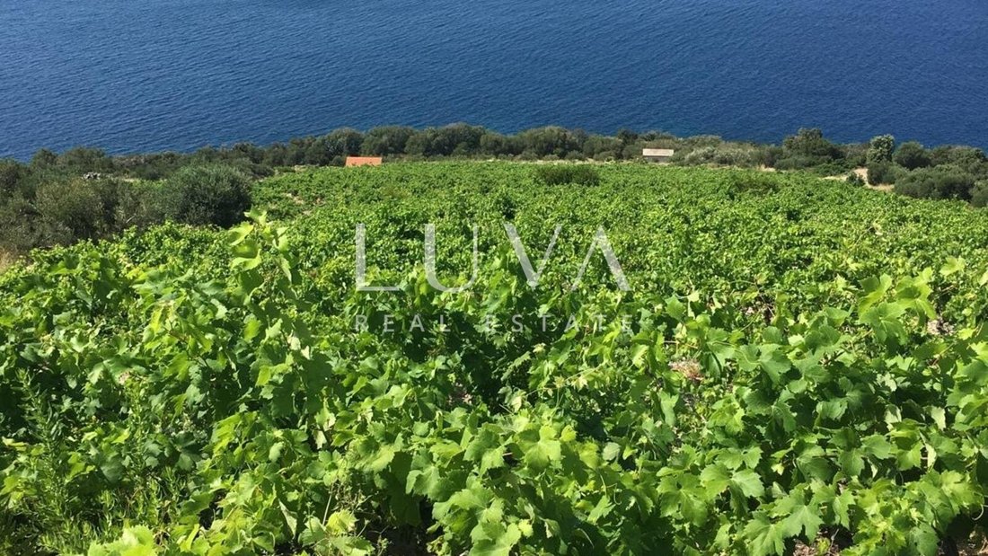 Land in Potomje, Dubrovnik-Neretva County, Croatia 4 - 17926626