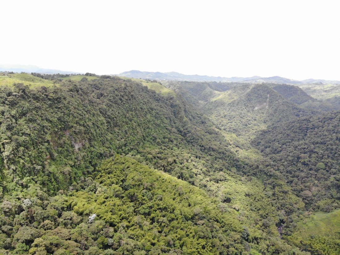 Estate in Quito, Pichincha, Ecuador 4 - 18056342