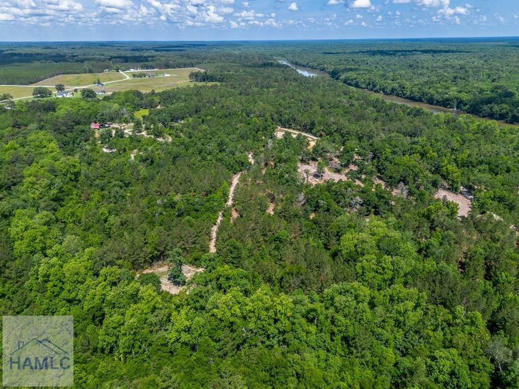 Land in Jesup, Georgia, United States 5 - 18059332