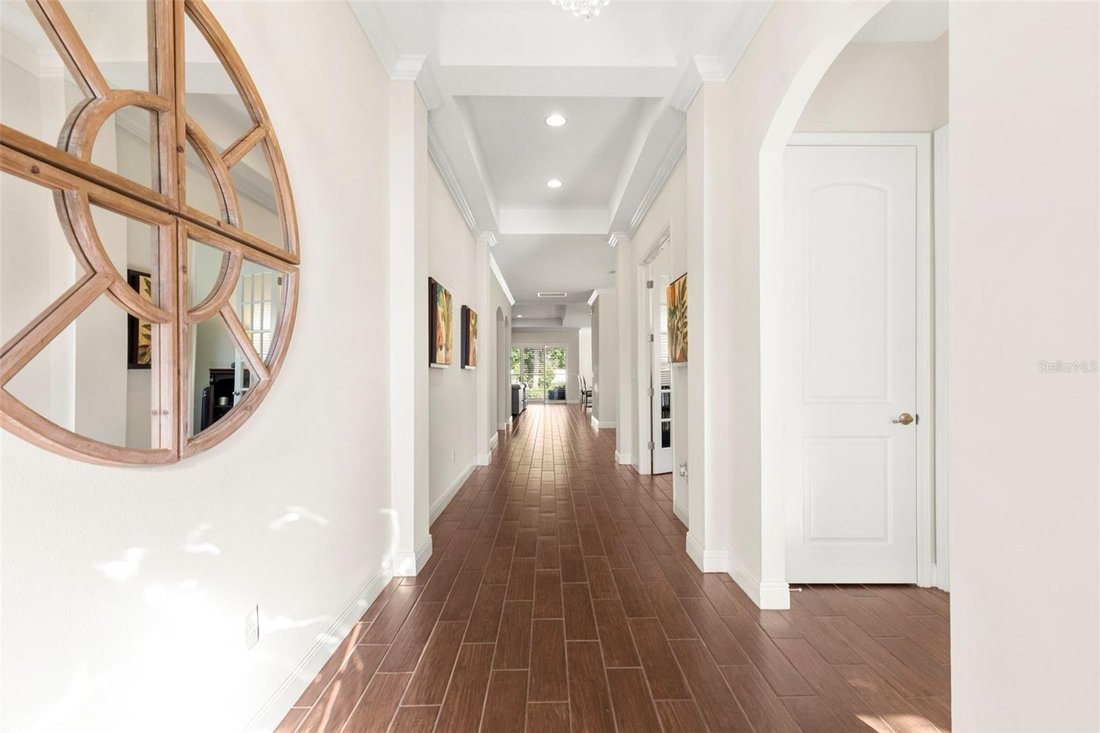 House in Tampa, Florida, United States 3 - 18056681