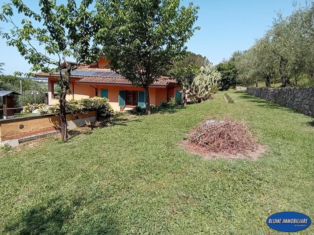 Villa in Piano di Mommio, Massarosa, Tuscany 5 - 18057524