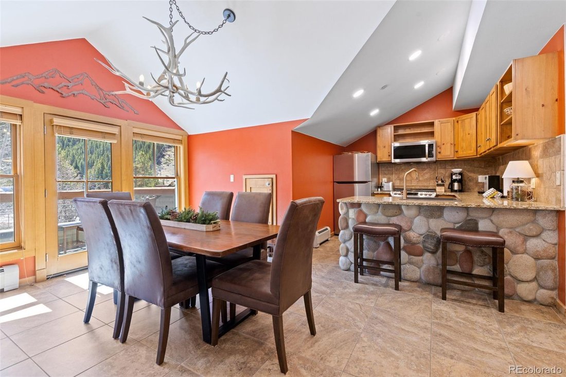 Condo in Dillon, Colorado, United States 1 - 18057954