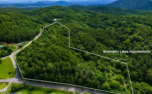 Terreno en Sevierville, Tennessee, Estados Unidos 1