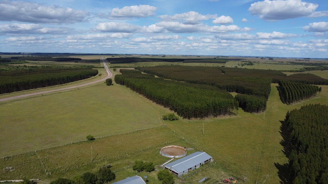 Durazno, Durazno Department, Uruguay 5 - 18054932