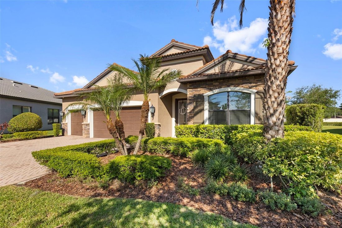 House in Tampa, Florida, United States 2 - 18056681