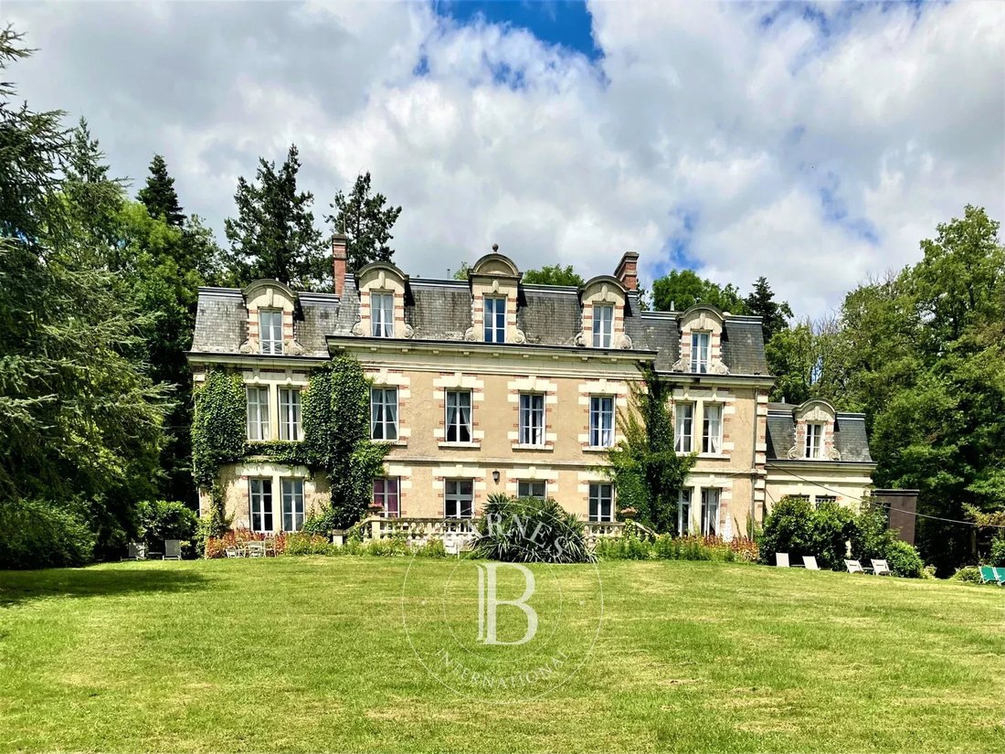 Castle in Veuves, Veuzain-sur-Loire, France 1 - 14531861