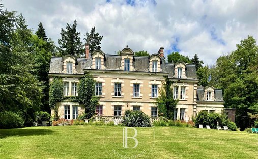 Castle in Veuves, Veuzain-sur-Loire, France 1