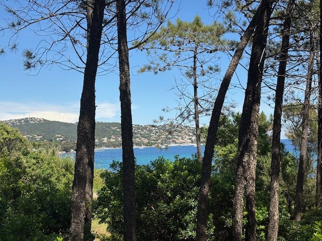 House in Nartelle-Noyer-Bellevue-bd des Sardinaux, Sainte-Maxime, France 3 - 18055069