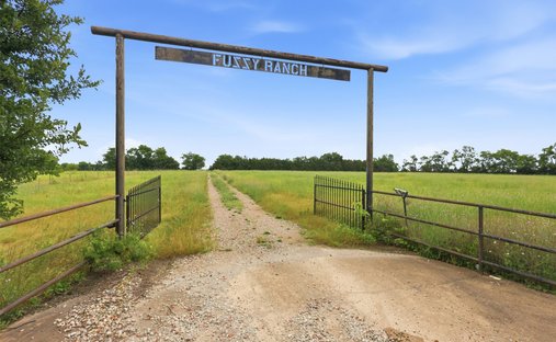 Land in Princeton, Texas, United States 1