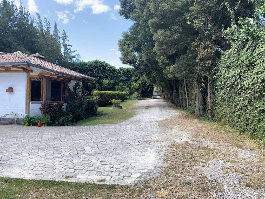 Land in Quito, Pichincha, Ecuador 4 - 18056314