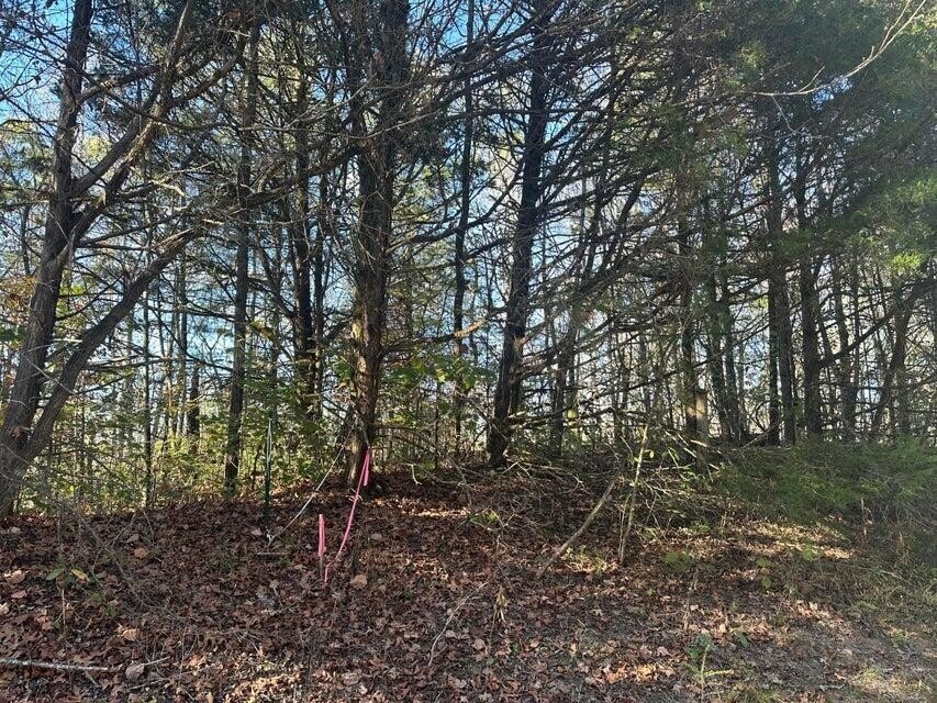 Land in Decatur, Tennessee, United States 4 - 18055986
