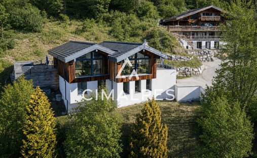 Villa in Montriond, Auvergne-Rhône-Alpes, France 1