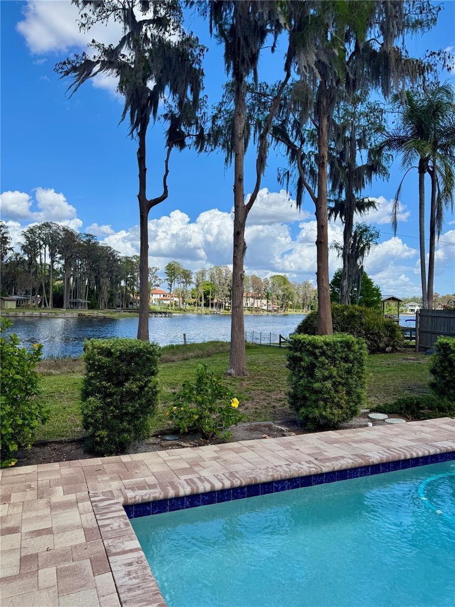 House in Odessa, Florida, United States 2 - 18056703