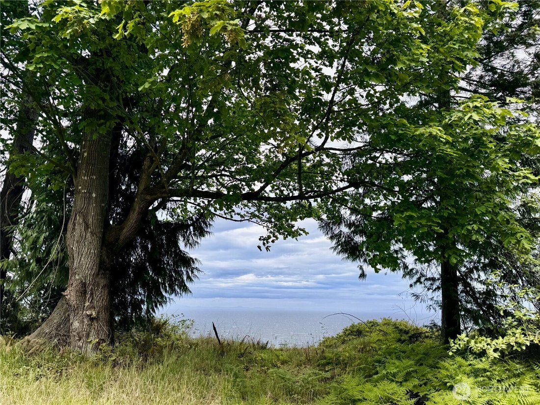 Land in Port Angeles, Washington, United States 2 - 18059338