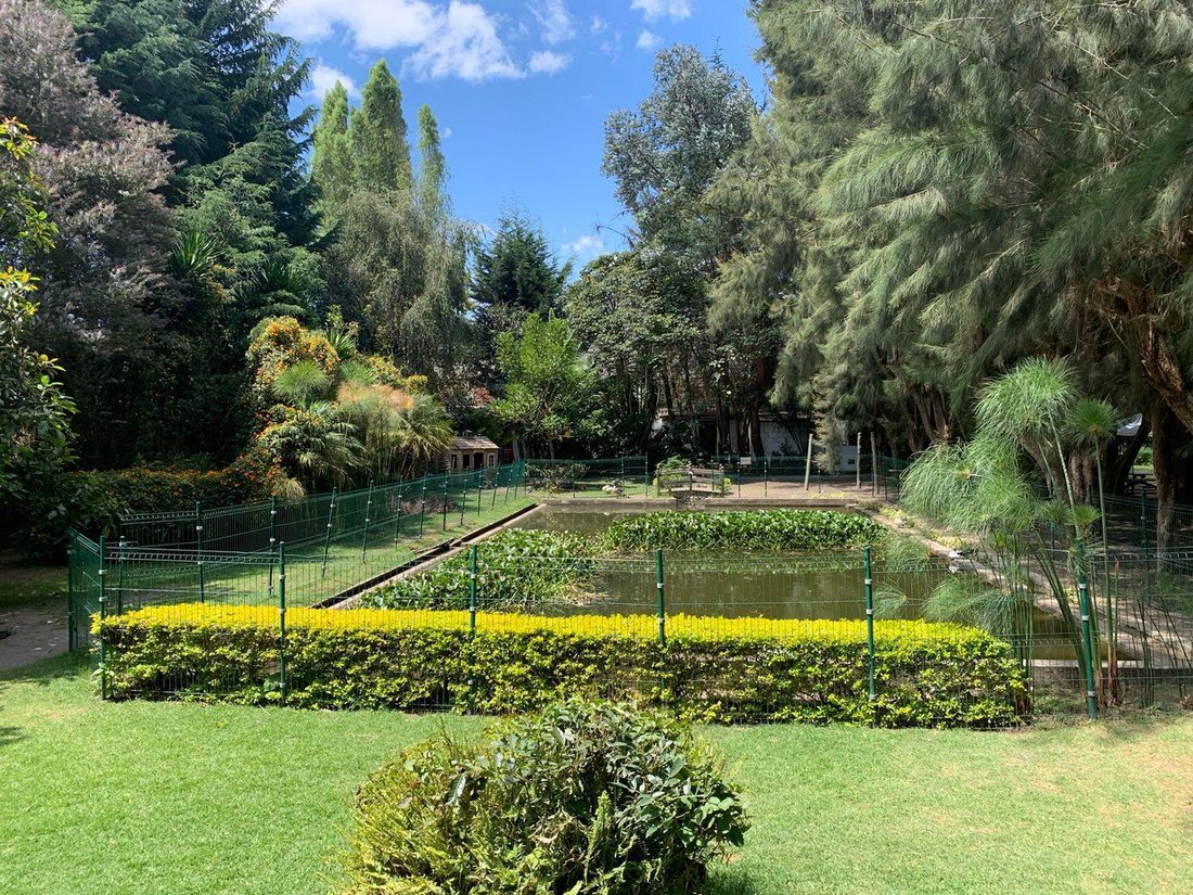 Land in Quito, Pichincha, Ecuador 3 - 18056341