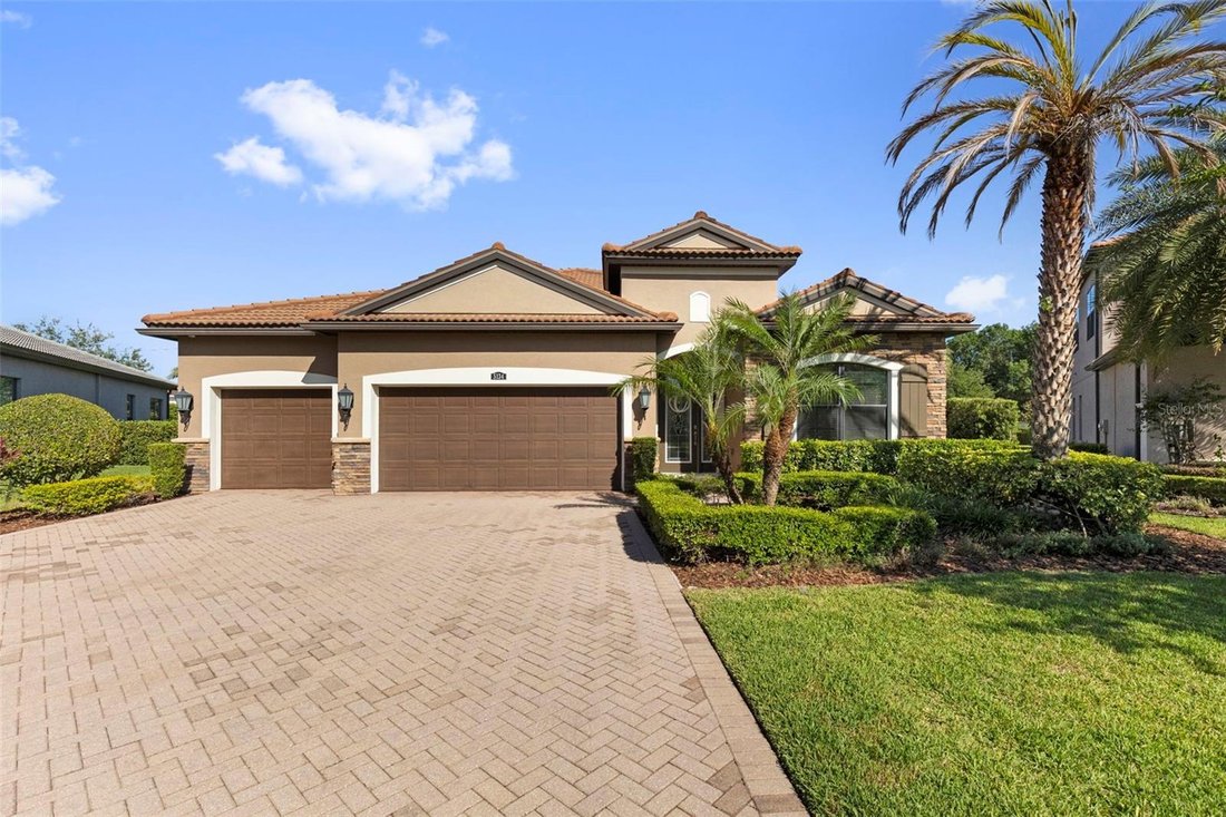 House in Tampa, Florida, United States 1 - 18056681