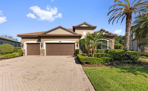 House in Tampa, Florida, United States 1