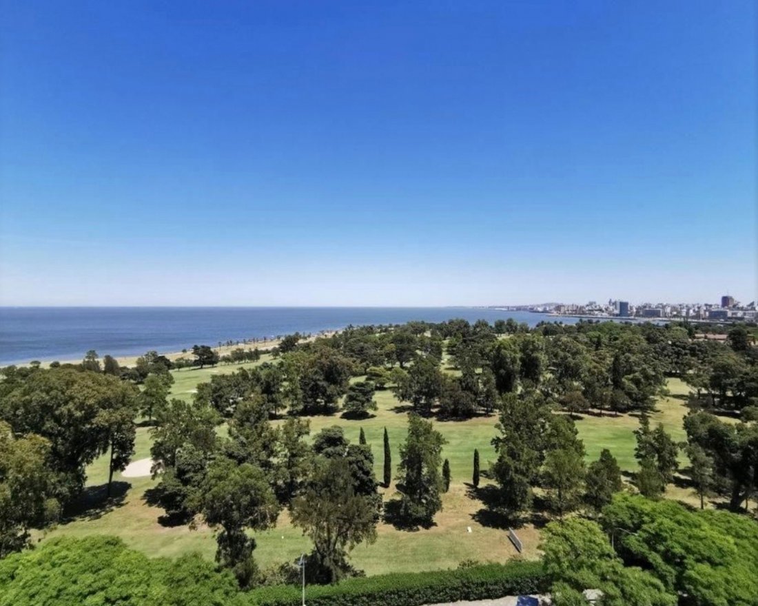 Apartment in Montevideo, Departamento de Montevideo, Uruguay 1 - 18054928
