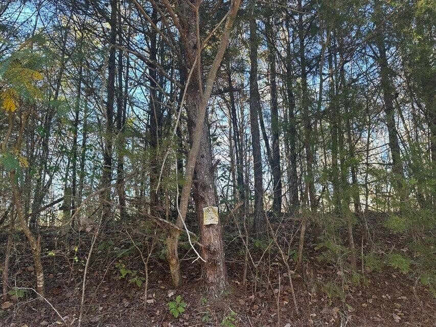 Land in Decatur, Tennessee, United States 5 - 18055986