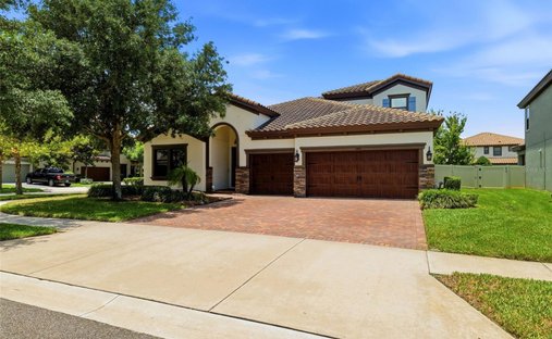 House in Odessa, Florida, United States 1