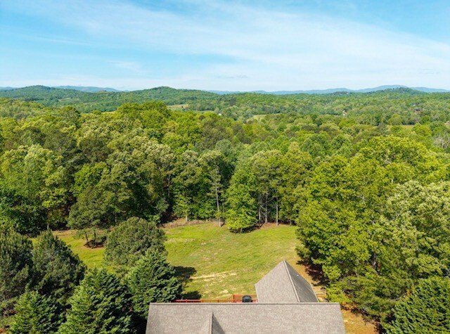House in Blue Ridge, Georgia, United States 2 - 18058287