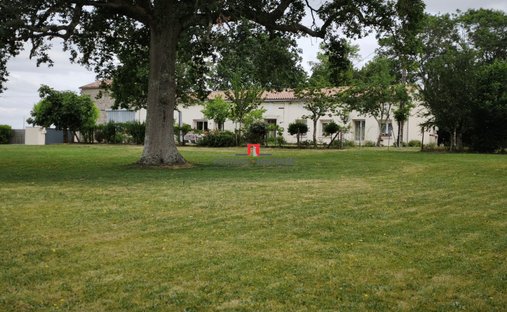 House in Arrondissement of Blaye, Nouvelle-Aquitaine, France 1