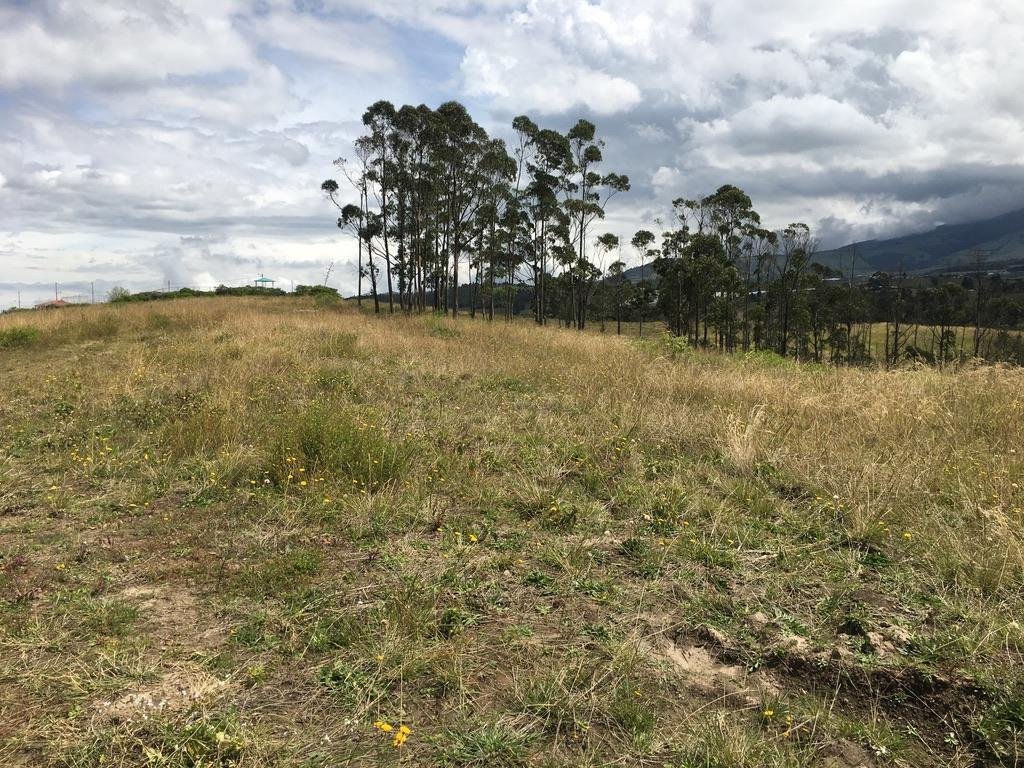 Land in Cayambe, Pichincha, Ecuador 2 - 18056320