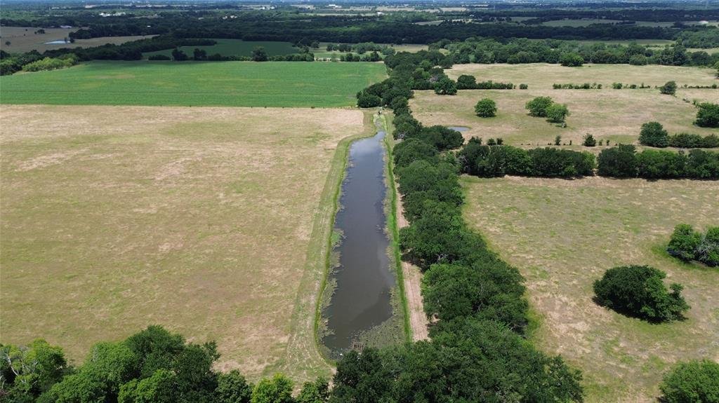 Farm Ranch in Blue Ridge, Texas, United States 3 - 18057526