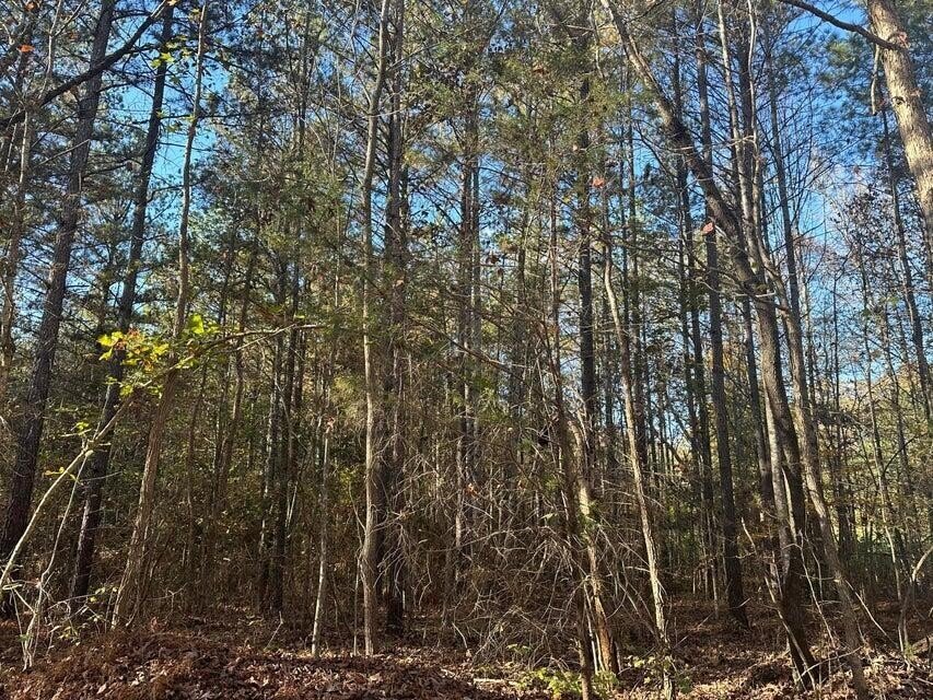 Land in Decatur, Tennessee, United States 2 - 18055986