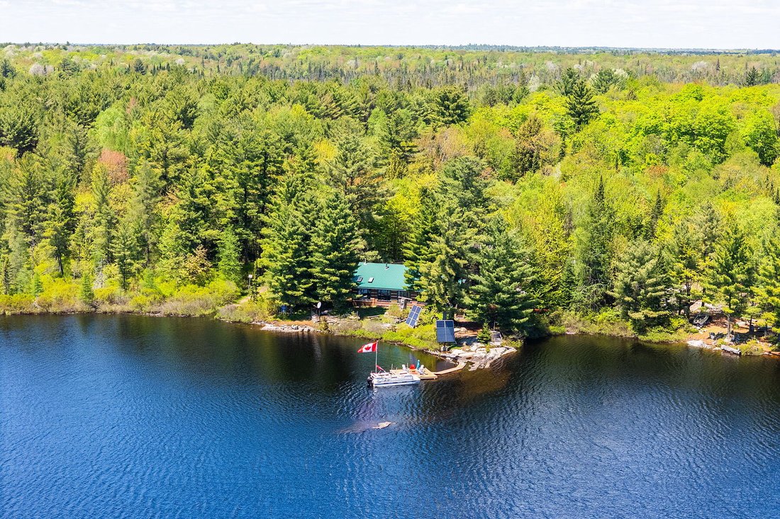 House in McMurrich, Ontario, Canada 3 - 17358099