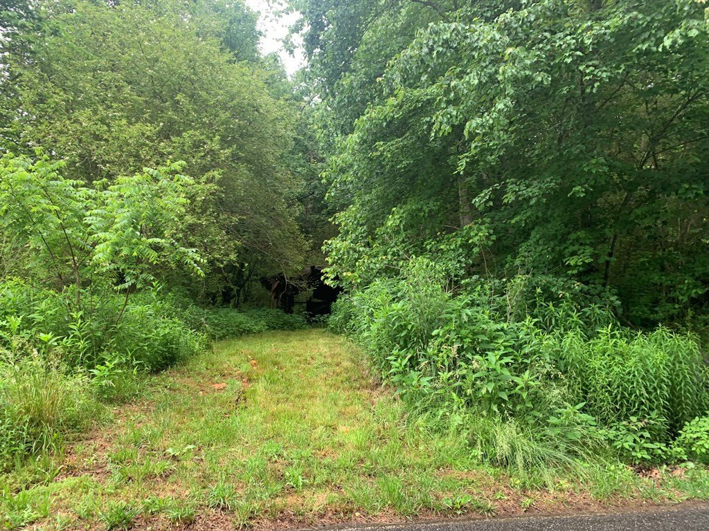 House in Hayesville, North Carolina, United States 2 - 18058182