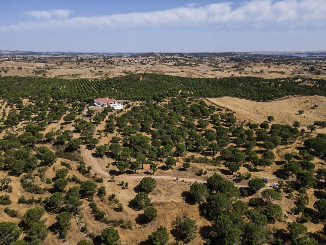 Finca in Ourique, Beja District, Portugal 5 - 18059020