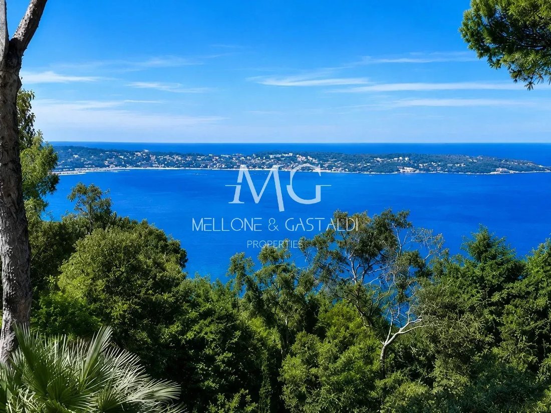 Villa in La Maure-Super Cannes, Vallauris, France 1 - 18055450