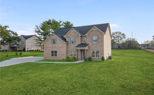 House in Fayetteville, Georgia, United States 1