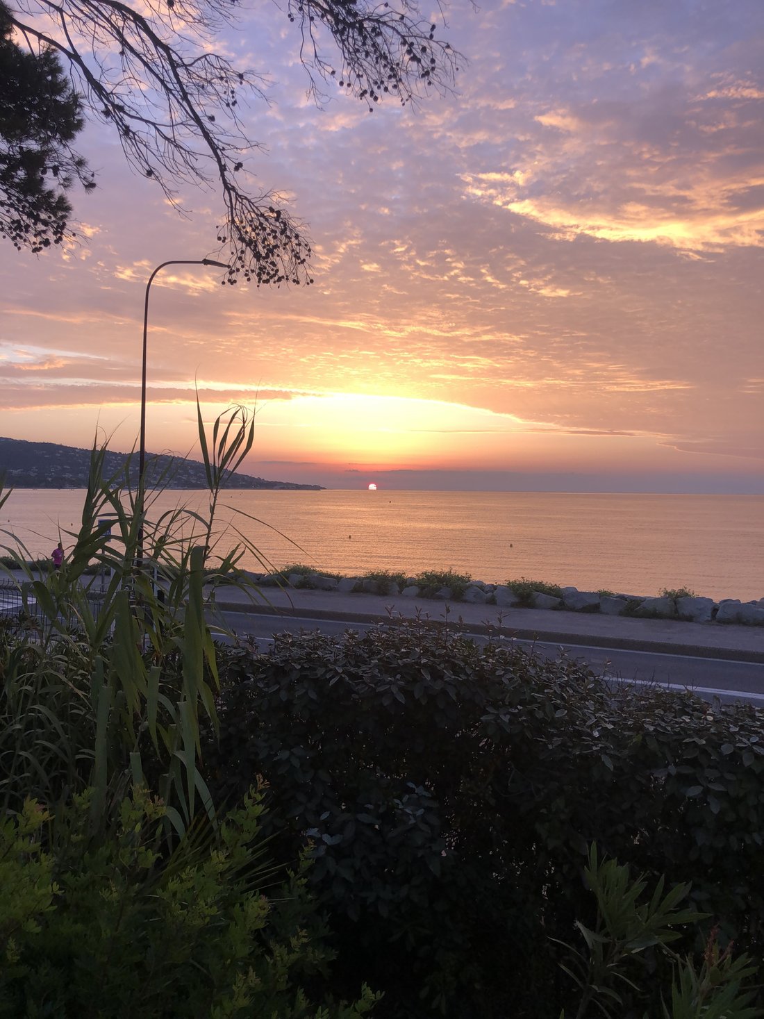 House in Nartelle-Noyer-Bellevue-bd des Sardinaux, Sainte-Maxime, France 1 - 18055069