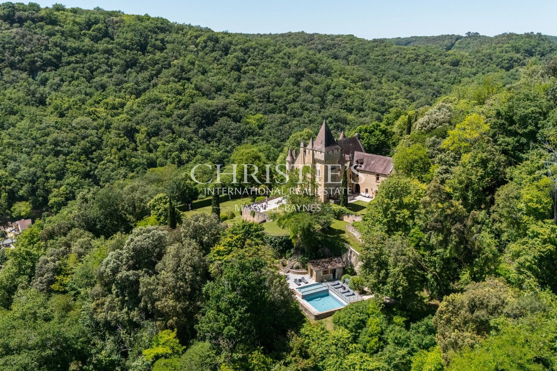Castle in Sarlat-la-Canéda, Nouvelle-Aquitaine, France 3 - 18055730