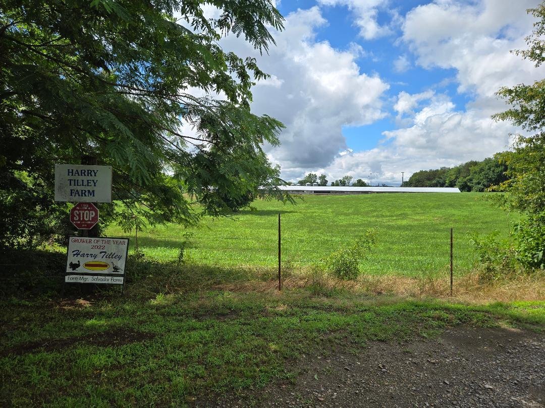 Farm Ranch in Lamar, Arkansas, United States 1 - 18055920