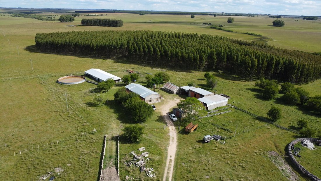 Durazno, Durazno Department, Uruguay 1 - 18054932