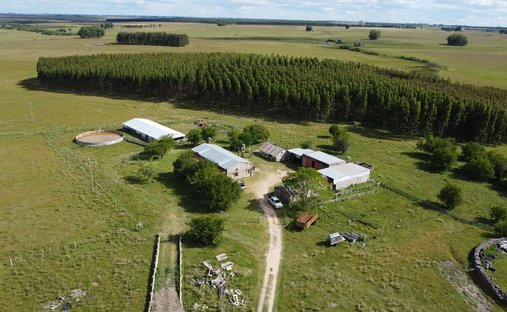 Durazno, Durazno Department, Uruguay 1