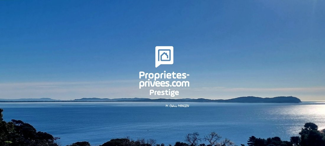 Villa in Carqueiranne, Provence-Alpes-Côte d'Azur, France 3 - 18059227