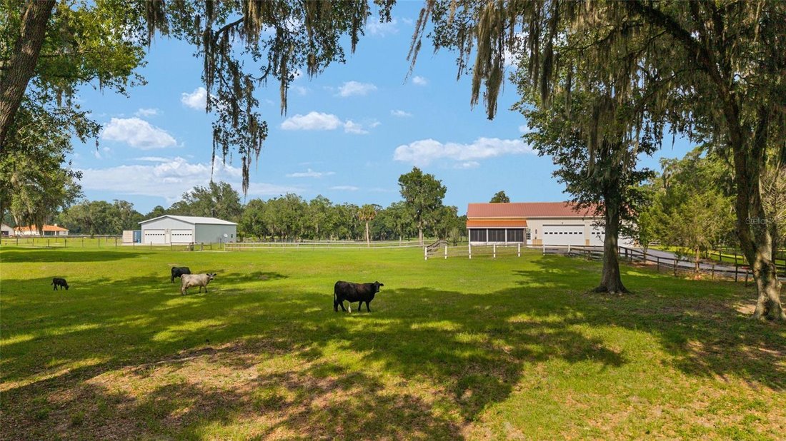 Land in Ocala, Florida, United States 1 - 18056731