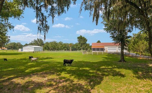 Terreno a Ocala, Florida, Stati Uniti 1