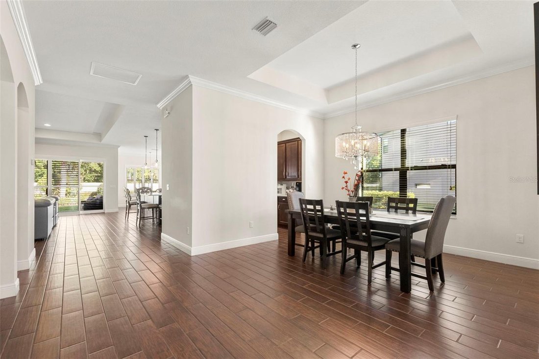 House in Tampa, Florida, United States 4 - 18056681