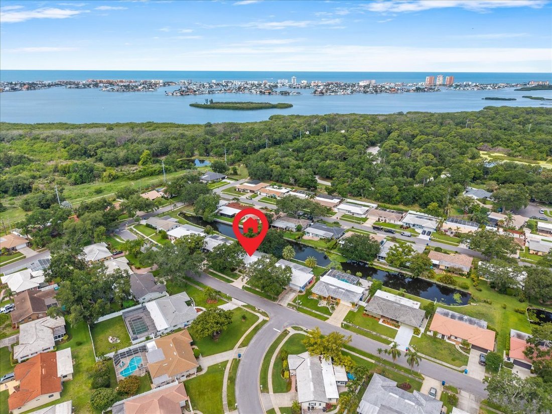 House in Seminole, Florida, United States 5 - 18055560
