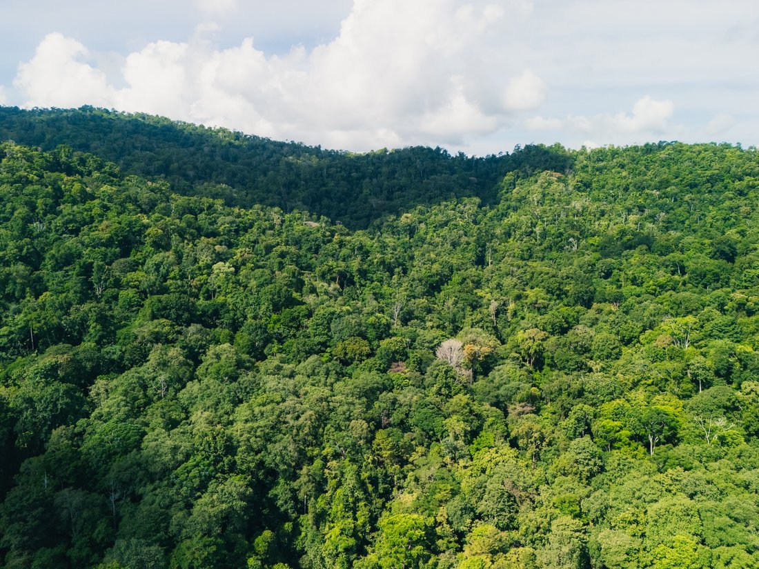 Land in Puerto Escondido, Puntarenas Province, Costa Rica 3 - 18058925