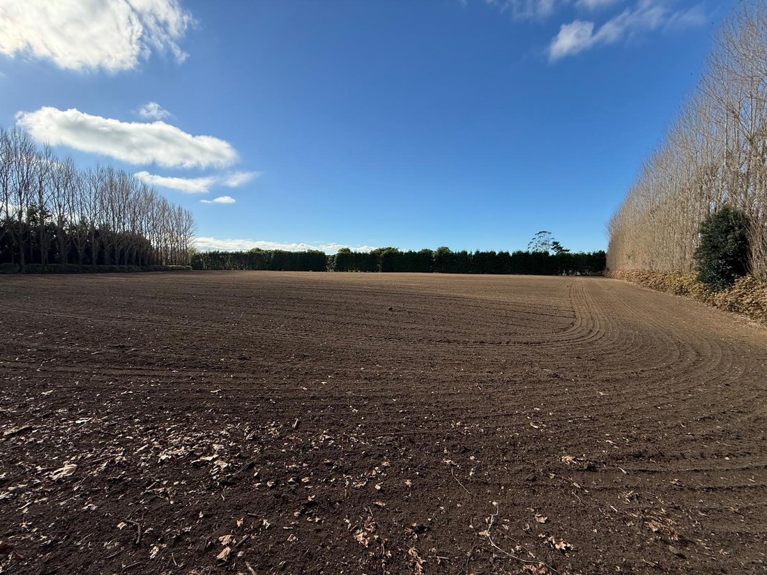 Farm Ranch in Katikati, Bay of Plenty, New Zealand 4 - 18057865